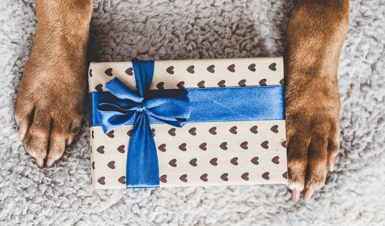 Geschenke für Hunde & Hundebesitzer
