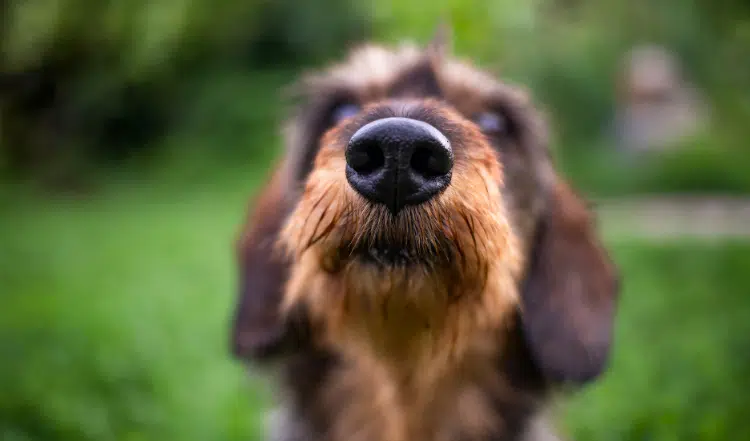 Die richtige Ernährung für jede Lebenslage