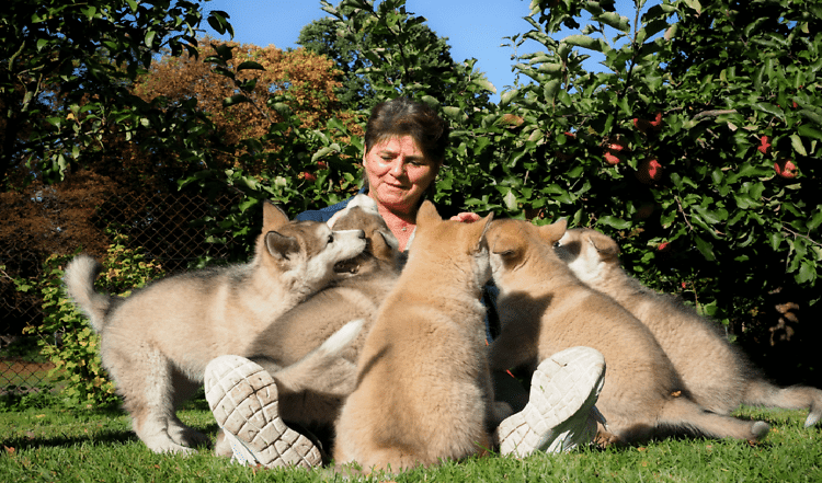 Klug, stolz und voller Energie | Züchterinterview mit Andrea Behrendt