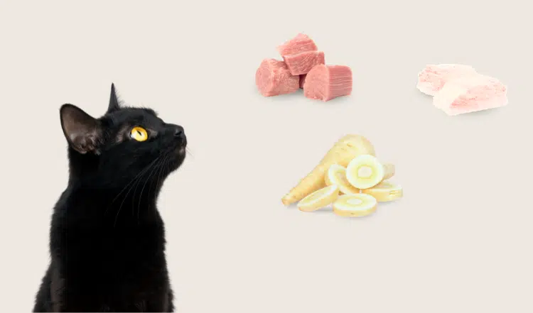 Wichtige Makronährstoffe für unsere Katzen