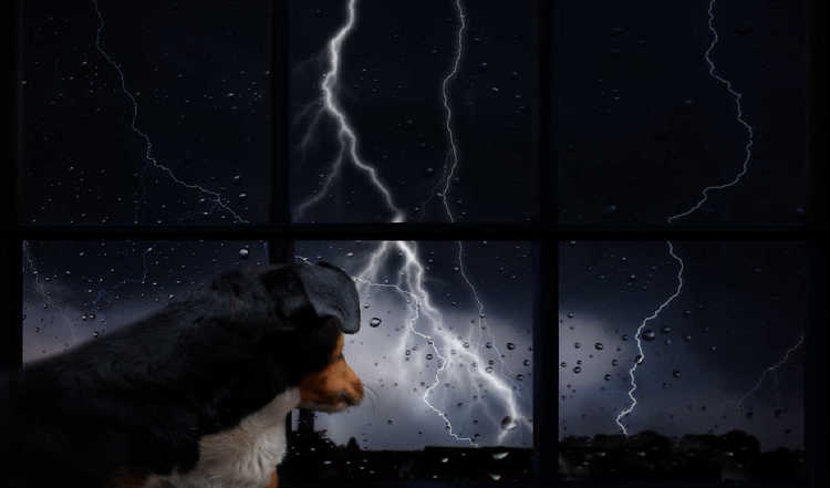 Grollende Sommergewitter