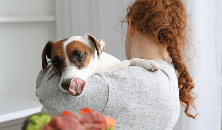 Vier Mythen über Hundefutter