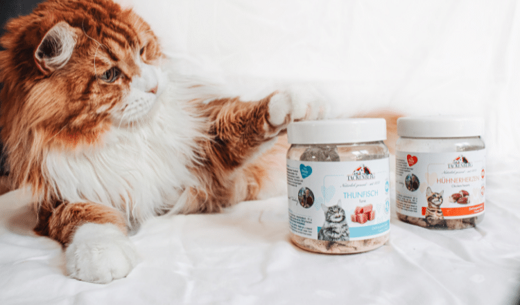 Gefriergetrocknete Snacks