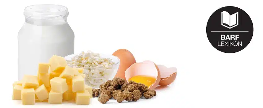 Milchprodukte & Eier beim BARFen