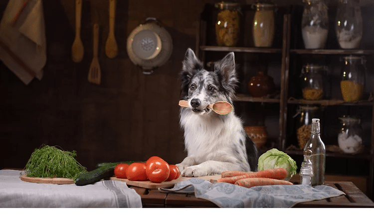Warnhinweise zum Thema Fremdkörper