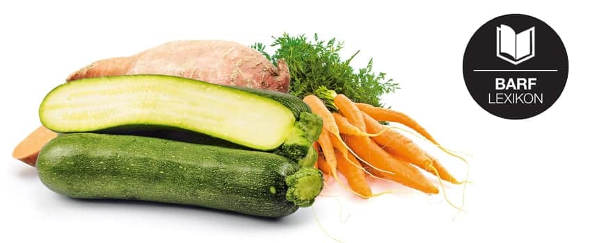 Gemüse im BARF Lexikon – Vitamine & Mineralstoffe für einen gesunden Hund