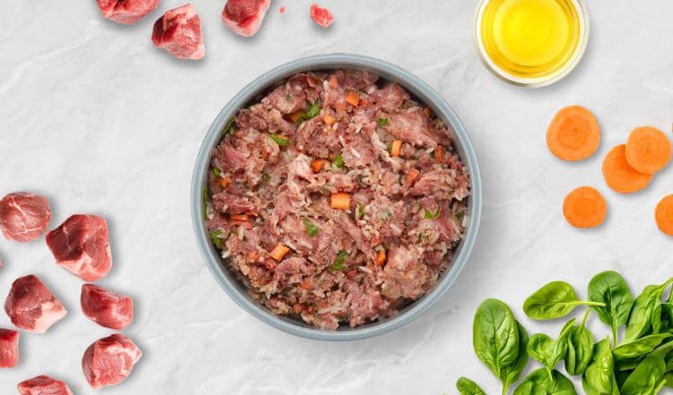 Barfen beim Hund: so geht die artgerechte Rohfütterung