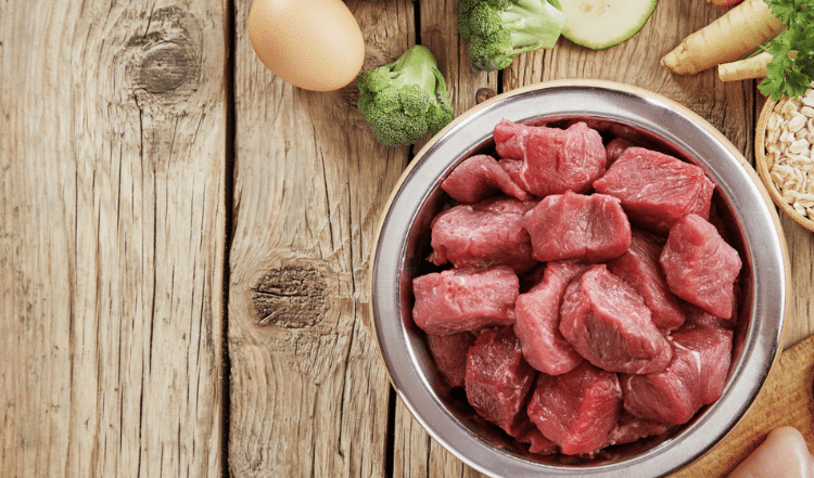 Barfen &#8211; 10 hartnäckige BARF-Mythen