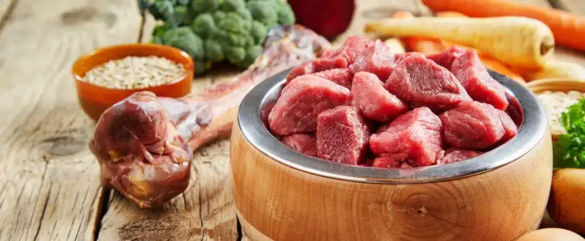 BARF für Hunde - Hundefutter artgerecht & hochwertig