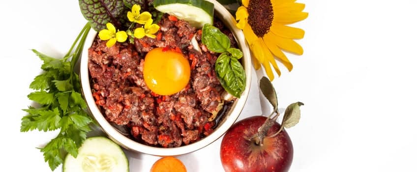 Barf Rezepte: So einfach ist BARF