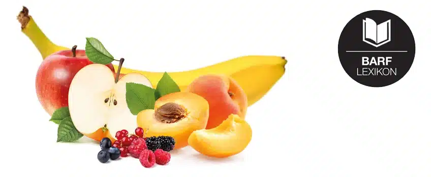 Obst im BARF Lexikon – Fruchtig frische Vitamine