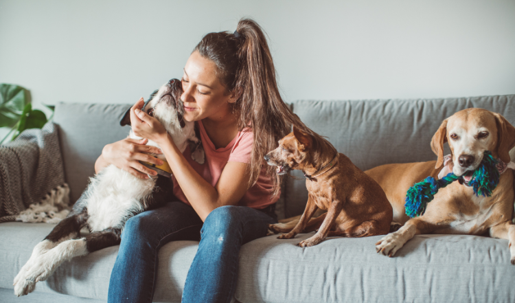 Urlaub ohne Hund: Was macht eine gute Hundebetreuung aus?