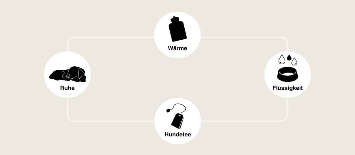 Hausmittel zur Behandlung von Blasenentzündungen.