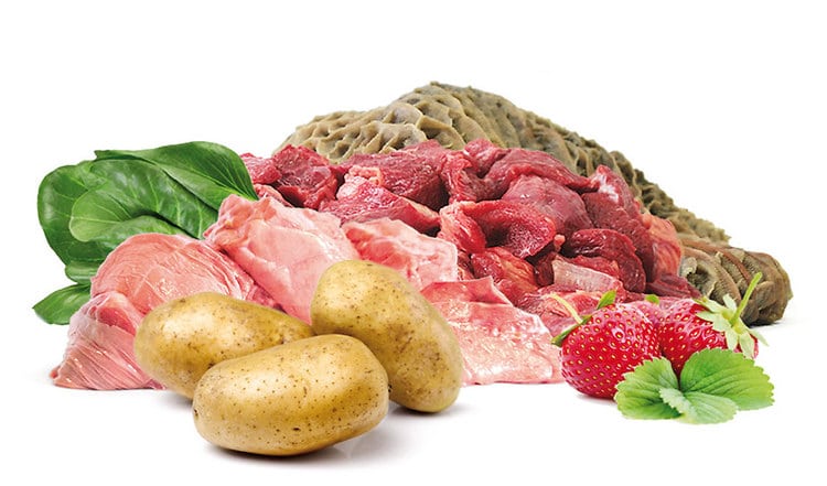 BARF Rezept mit Rind & Lamm, Kartoffeln, Erdbeeren und Mangold