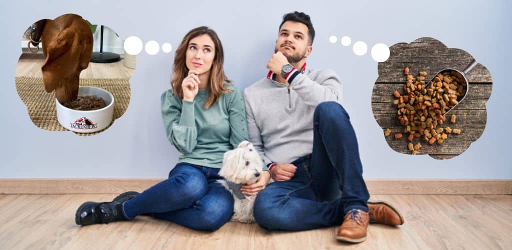 Hundebesitzer fragen sich, ob sie Nass- und Trockenfutter mischen dürfen.